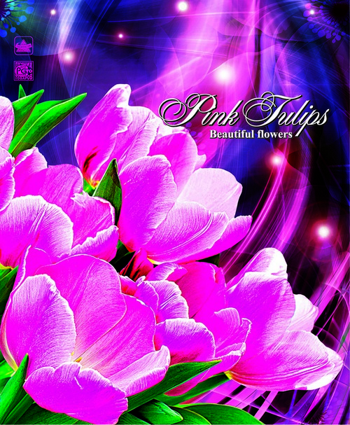 Пакет Розовые тюльпаны (450x380x0.060) 50/300