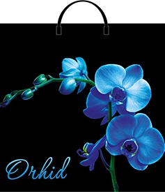 Пакет Голубая орхидея (350x380x0.100)